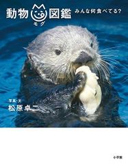 鳥羽水族館⭐️70周年⭐️ポスター⭐️ラッコ - メルカリ