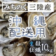 沖縄配送用 生食OK 10kg 三陸産 殻付き生牡蠣 亜鉛 鉄分 ミネラル豊富