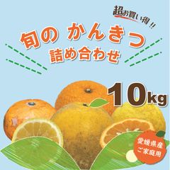 【超お買い得】愛媛県産　訳あり旬の柑橘詰め合わせ１０ｋｇ補償有