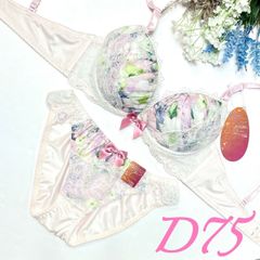 （933800）花柄プリントハーフレースブラ&ショーツセット【D75/M】