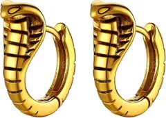 【在庫処分】Richsteel フープピアス メンズ 動物 へび ドラゴン 龍 リングピアス ステンレス 金アレ対応 小さい 両耳 19G かっこいい 男性 アクセサリー