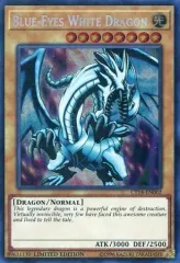 遊戯王 英語版 楽天市場】遊戯王 英語版 LEDD-ENA14 黒魔術のカーテン(英語版 1st