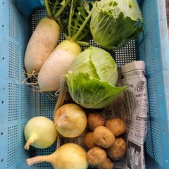 自然栽培野菜セット　3.５キロ
