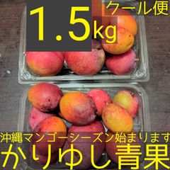 沖縄県産マンゴー