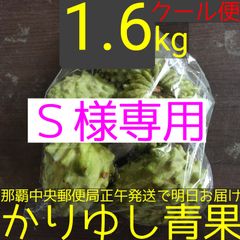 Ｓ様専用