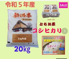 新米】令和５年産 新潟コシヒカリ(長岡市_とちお産_希少)10㎏ 箱込み総