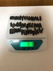工場直売　関西産A級品 乾燥なまこSSS 100g50匹 (計量時100g53本)
