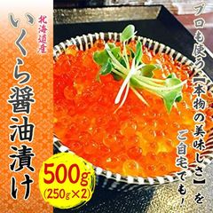 いくら 醤油漬け 500g(250g×2) 北海道産 最高級のとろける美味しさ 鮭卵 化粧箱入りでギフトにも◎贈答用　イクラ 北海道