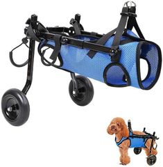 Item thumbnail for item 1341892d-9a00-4ae4-8870-24eec541197d