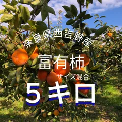 2025年最新】富有柿5キロの人気アイテム - メルカリ