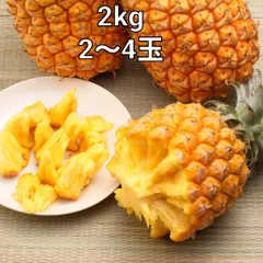 スナックパイン　2kg 2~4玉 沖縄果物　 (ボゴールパイン)のサムネイル
