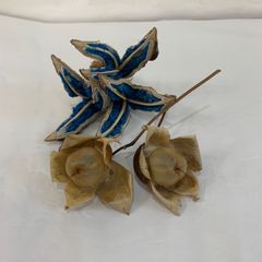 旅人の木A級品 9節 旅人の木 タビビトノキ 9節 - メルカリ