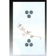 Item thumbnail for item 9cee4d62-7086-4391-8b6c-a54f5966beeb