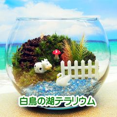 【苔テラリウム・手作りキット一式】白鳥の湖