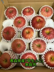 青森県産りんご「早生ふじ」家庭用 キズ有 約10kg 【フルーツキャップ】