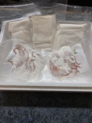 釣りガールみかんさんが実際に釣り上げた白いか豪華セット！流水解凍後すぐに刺身で食べれます