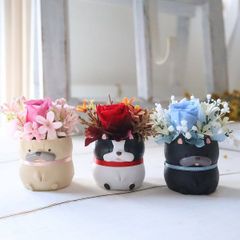 フレンチブル　母の日　花咲くワンコ　プリザーブド　4種　503