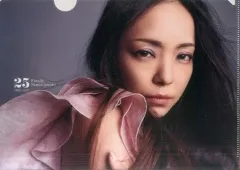 【中古】クリアファイル(女性アイドル) 安室奈美恵 オリジナルA4クリアファイル 「CD Finally」 セブンイレブン購入特典のサムネイル