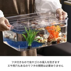 2025年最新】ガラス水槽 蓋の人気アイテム - メルカリ