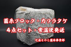 Item thumbnail for item 6d2c8b96-0d2f-4965-9a3c-10ac0d854424