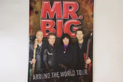 2025年最新】MR.BIG フライヤーの人気アイテム - メルカリ