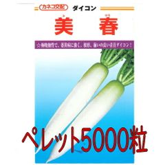 カネコ種苗　美春大根　ペレット５０００粒
