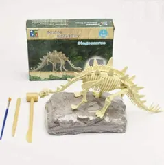smile planing 恐竜発掘キット 化石 おもちゃ 化石発掘キット 骨格組立 恐竜発掘セット 知育 子供用(ステゴサウルス)