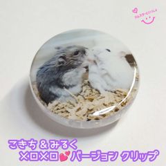 【おまけ付き】メモクリップ (小さめサイズ)  写真入り ハンドメイド こきち♂&みるく♀「メロメロ💕」バージョン