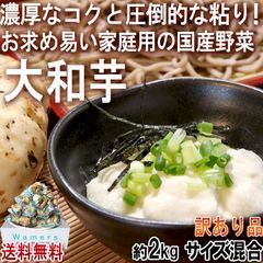 大和芋 やまといも 約2kg 訳あり品 サイズ混合 千葉県産 国産野菜 お求めやすい家庭用の山芋！とろろ蕎麦やご飯に最適な圧倒的粘り 成田 香取 多古