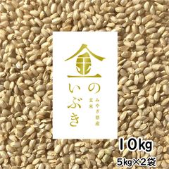 金のいぶき 玄米 宮城県 10kg 令和4年産 胚芽が3倍大きい玄米食専用米