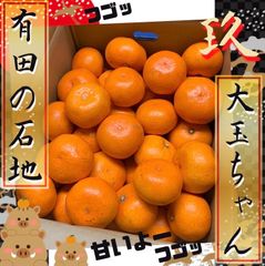 有田みかん　石地　大玉　9キロ