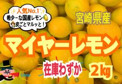 【限定❣️先着4名様】マイヤーレモン2㎏/レモン　国産レモン　みかん　きんかん