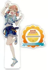 ラブカ　P +蓮ノ空セット ゲーマーズより新商品発売のお知らせ | ラブライブ！シリーズ