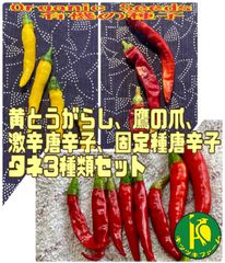 黄とうがらしと鷹の爪と激辛唐辛子🌶️3種類、各20粒のタネセット固定種・無農薬無化学肥料栽培の種子