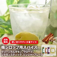 【送料無料 レシピ付き】 梅シロップ用スパイス4種セット シナモン ジンジャー クローブ グリーンカルダモン 梅酒 スパイス酒 レモネード