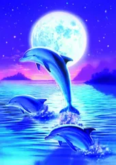 【人気商品】イルカ ダイアモンドビーズ絵画キット キット 5Dモザイクアート DIY ダイヤモンドアート 手作り絵画手芸キット ダイヤモンド塗装 ダイヤモンドアート 全面貼り付けタイプ 芸術品 Rinimie 家用装飾 30x40cm（イルカ3）