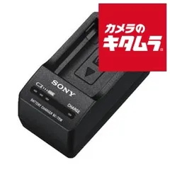 SONY α6000 ミラーレス一眼 + BC-VW1 充電器 BATT X3