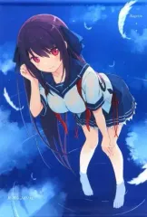 【中古】タペストリー [単品] 鳶沢みさき 描き下ろしB2タペストリー 「Switchソフト 蒼の彼方のフォーリズム EXTRA1+2S LIMITED EDITION」 同梱特典