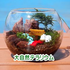 ドーム型・苔テラリウム・金魚鉢