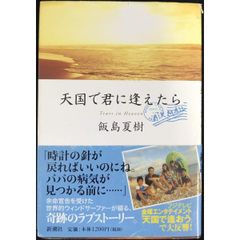 天国で君に逢えたら