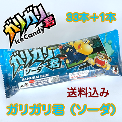 赤城乳業 ガリガリ君ソーダ 105ml×34本　合計34本