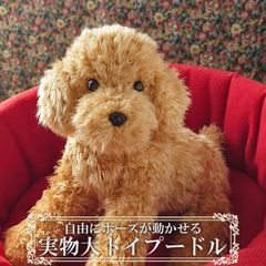 未使用 本当そっくり眠る レトリバー パーフェクトゥバペット