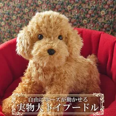 【ニニアンドキノ 実物大 ポーズが変えられる トイプードル アプリコット レッド】 ぬいぐるみ 犬 リアル (ヤマト宅急便)のサムネイル