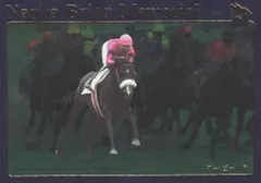 サラブレッドカード　ナリタブライアン Yahoo!オークション -「ナリタブライアン」(トレーディング