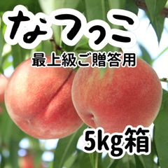 ８月5日出荷予定　なつっこ５ｋｇ（１３玉前後）　最上級　ご贈答用