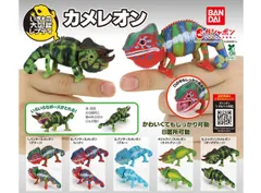 Colmore カメレオン デコボックス グリーン Mirrodine XL CUSTOM