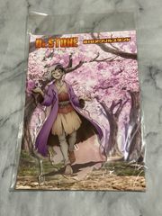Dr.STONE あさぎりゲン　BIGアクリルスタンド　桜　花見