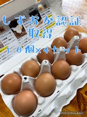 【HOTSALE】あしたか牧場の卵　オリビア　平飼い卵　無農薬　オーガニック その他