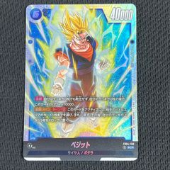 FB04/130/SCR ベジット　SCR