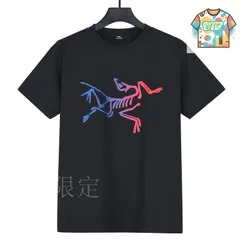 【今日特価】ARCTERYX アークテリックス 2025 カラーグラデーシ